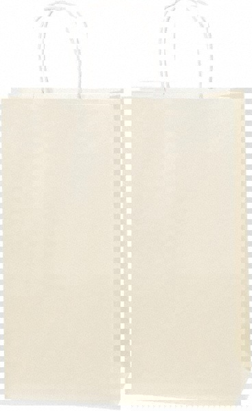 Pack of (250) Kraft Grocery Bags